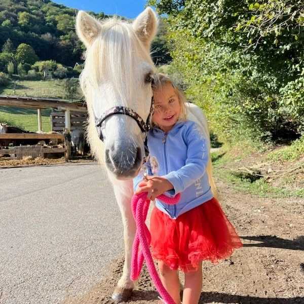 💌 Notre petit Nico a trouvé sa famille pour couler une douce retraite ! Après tant d'années de bons et loyaux services, il l'a plus que méritée ! Il nous manque déjà mais le bonheur qu'il aura comble ce manque...
Bonne route Nico et merci 🙏🏼💝