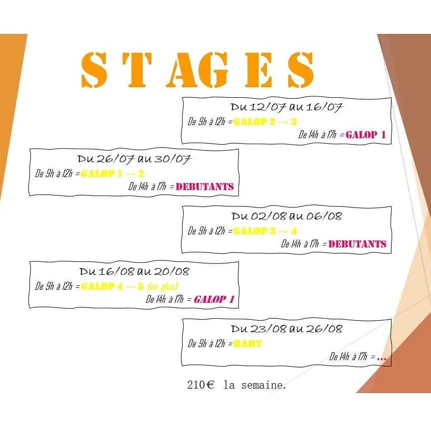 🌞 Les inscriptions aux stages d'été sont dorénavant ouvertes ! 😎
🐴 N'hésitez pas à passer directement au bureau. 🤩

📝 Les inscriptions pour septembre ont débutées également ! 🥳

❗️❕ PLACES LIMITÉES ...