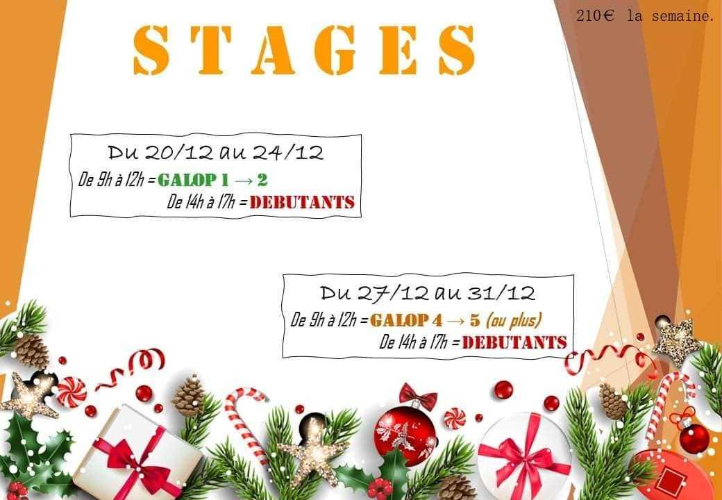 🎅 HOHOHO ! 🎁
C'est parti pour les stages de Noël, passez au bureau pour les inscriptions ! ❄️

Au passage, n'hésitez à renouveler votre inscription pour le deuxième trimestre ! ⛄️

À bientôt ! 🤗