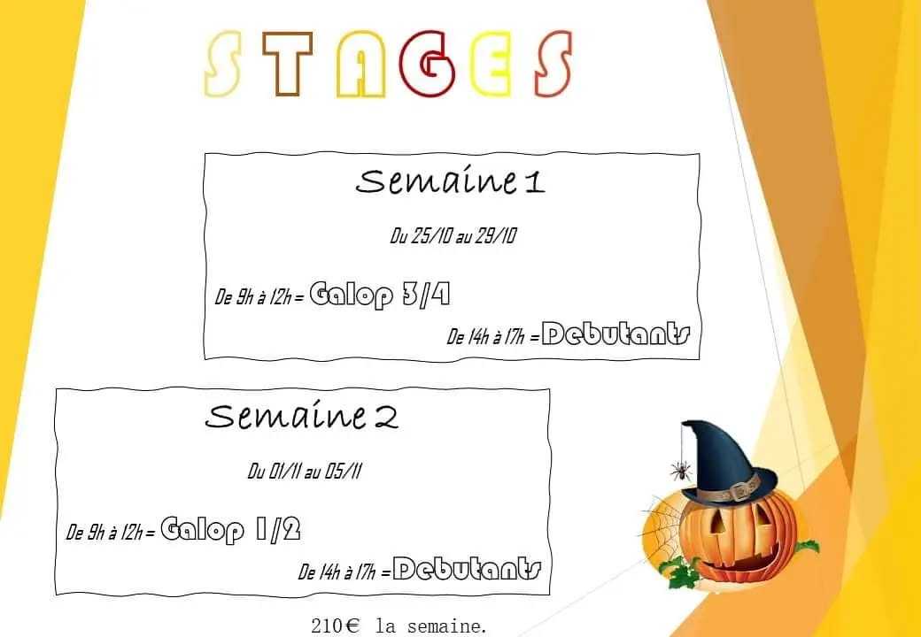 ➡️ C'est parti, lancement des inscriptions aux stages de la Toussaint ! 🎃🦇 Comme d'habitude RDV au bureau pour les inscriptions. 🤩