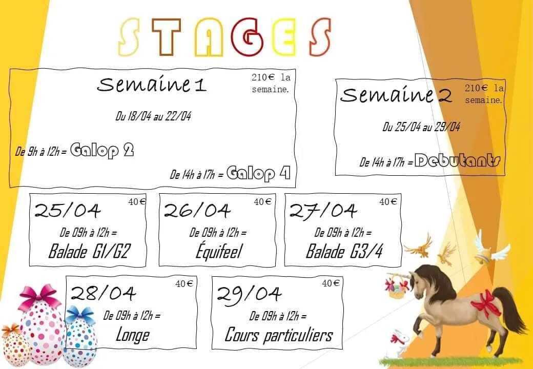 🤩 Inscriptions au bureau ! 🐰